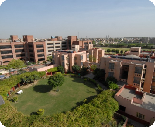 Campus celebration